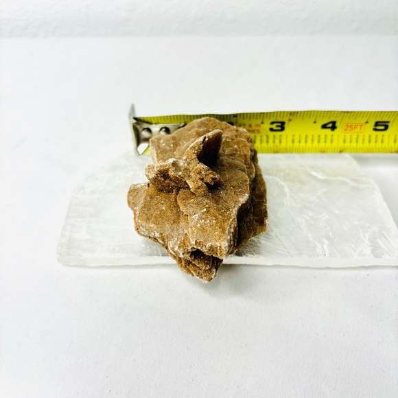 Set of 2 Desert Rose Gypsum - Picture 5 of 7